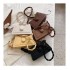 Pillow Fashion Girl Purses Famous Brands Ladies Purse Crocodile Small Hand Bags Designer Purses and Handbags For Women Luxury